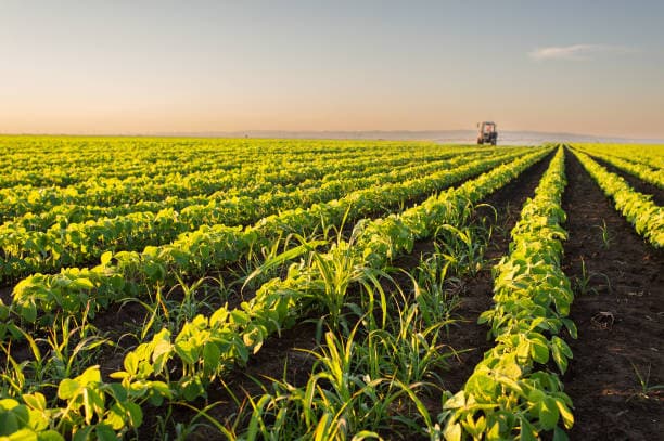Frontier Dynamic Agro