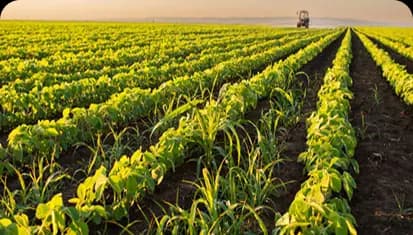 Frontier Dynamic Agro